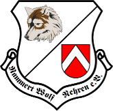 Narrenzunft Rammertwolf Nehren e.V.