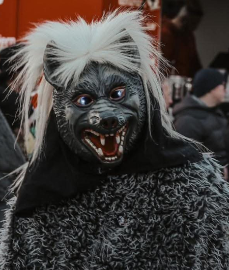 Alpha-Wolf Image